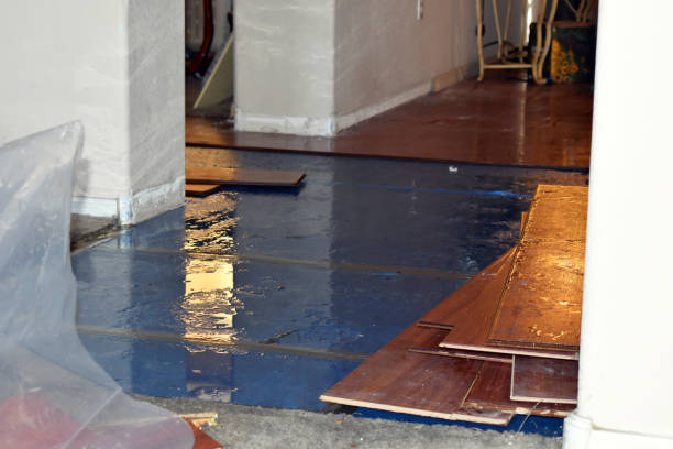 Professional Sewage Cleanup technician working in Ledyard, CT
